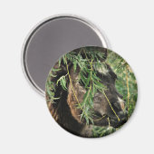 熱々に燃えているさま マグネット (正面/裏面)