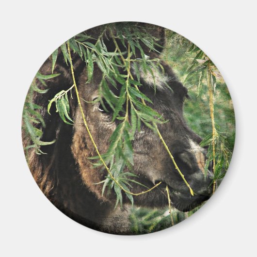 熱々に燃えているさま マグネット (正面)