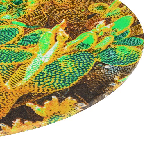 熱いアフリカ砂漠サボテン植物とげのある梨 カッティングボード (角)