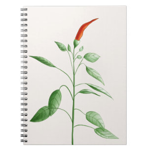 熱いチリペッパーの植物の植物のイラストレーション ノートブック