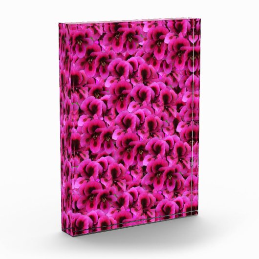 熱いマゼンタのゼラニウム色の花、 フォトブロック (左)