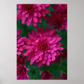 熱いママ！ ポスター (正面)