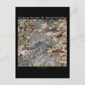 熱い春の山、ARリスの迷彩ギフト ポストカード (正面)