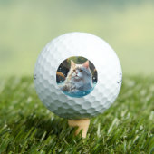 熱い春を楽しむ猫：ゴルフボール ゴルフボール (インサイチュ 木)