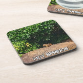 熱い春 コースター (左側)