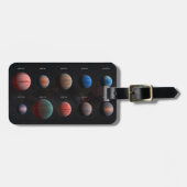 熱い木星ワスプ外惑星10個 ラゲッジタグ (正面横)