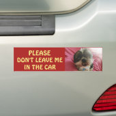 熱い車の犬を残さないで下さい バンパーステッカー (車上)