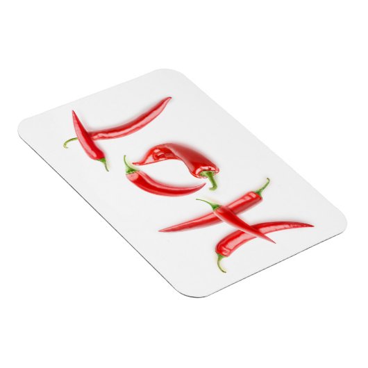 熱い! マグネット (右側)