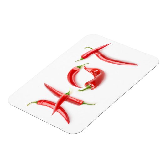 熱い! マグネット (左側)