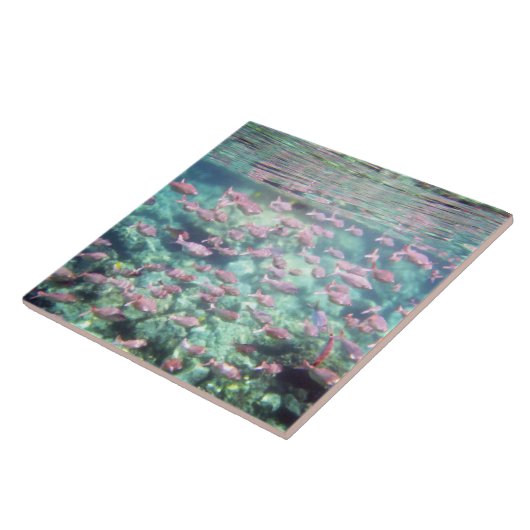 熱かわいらし帯魚陶板 タイル (側面)