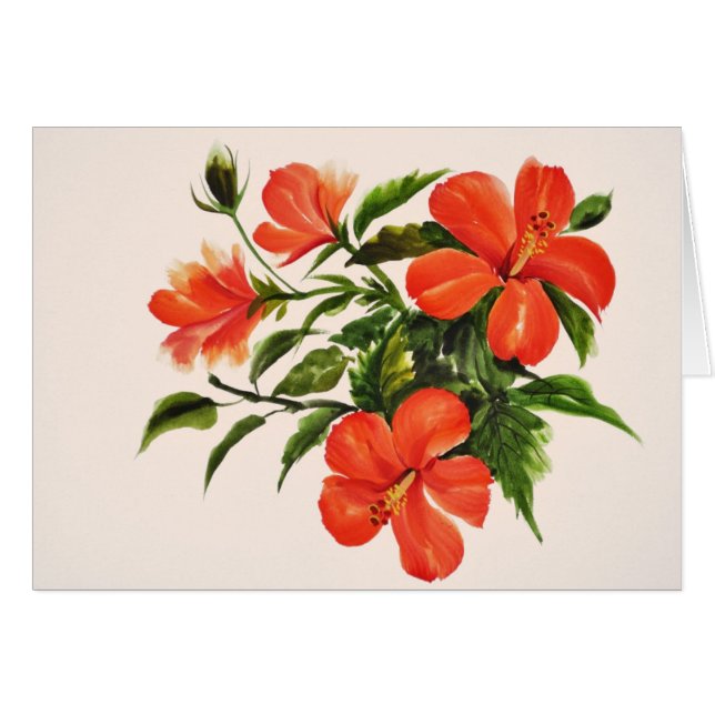 熱く赤いハイビスカス (正面横)