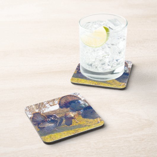 熱の中の雄の七面鳥と女性。写真 コースター (右側)