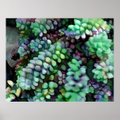 熱クールい砂漠の中のヒュード・バロの尾 ポスター (正面)