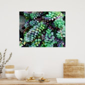 熱クールい砂漠の中のヒュード・バロの尾 ポスター (キッチン)