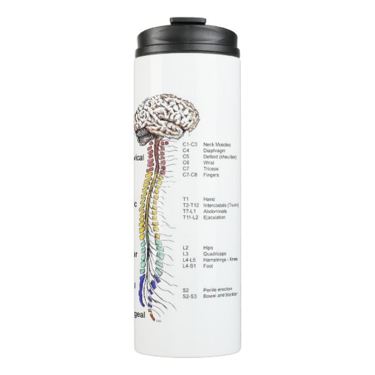 熱タンブラー タンブラー (正面)