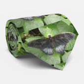 熱帯かわいらし蝶と花のネクタイ ネクタイ (ロール)