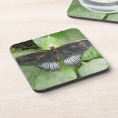 熱帯かわいらし蝶と花コルクコースター コースター (左側)