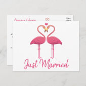 熱帯たった今結婚しましたピンクフラミ結婚ンゴ 案内ポストカード (正面/裏面)