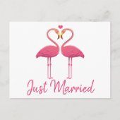 熱帯たった今結婚しましたピンクフラミ結婚ンゴ 案内ポストカード (正面)