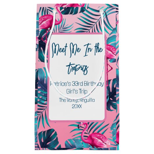 熱帯で私を満たす誕生日ガールズトリップバカイ スモールペーパーバッグ (正面)