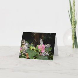 熱帯のに黄色の蝶が離れある シーズンカード