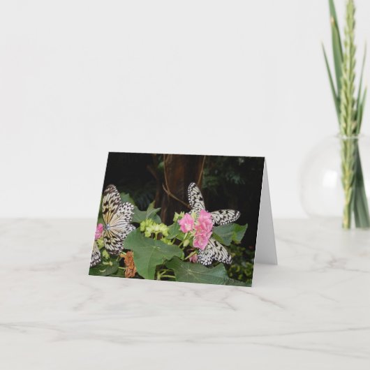 熱帯のに黄色の蝶が離れある シーズンカード (正面)