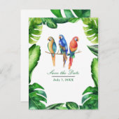 熱帯のオウムの鳥葉との保存日 案内ポストカード (正面/裏面)