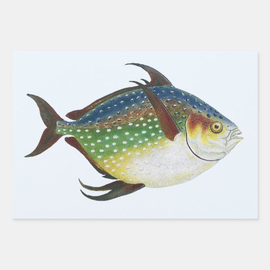 熱帯のオパーフィッシュ、ヴィンテージの海洋動物 ラッピングペーパーシート (正面)