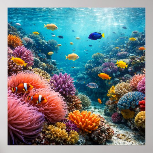 熱帯のサンゴ礁と豊かな海洋生物 ポスター (正面)