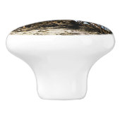 熱帯のサンゴ露頭の上の絵のような家 セラミックノブ (側面)