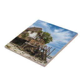 熱帯のサンゴ露頭の上の絵のような家 タイル