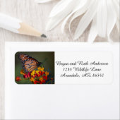 熱帯のヒノキに生息する蝶クイーン ラベル (インサイチュ)