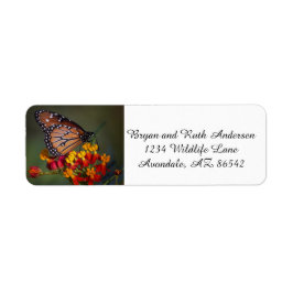 熱帯のヒノキに生息する蝶クイーン ラベル