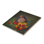 熱帯のヒメグサの上の蝶の女王 タイル (側面)