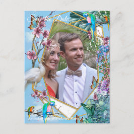 熱帯の亜寒帯景観 案内ポストカード