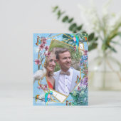 熱帯の亜寒帯景観 案内ポストカード (スタンド正面)