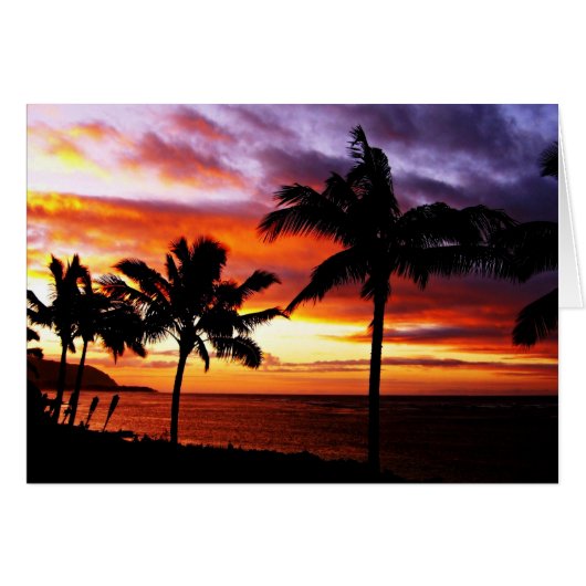 熱帯の夕日のビーチ (正面横)