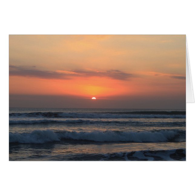 熱帯の夕日 (正面横)