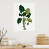 熱帯の大葉きなプリントフィロデンドロン ポスター (キッチン)