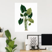 熱帯の大葉きなプリントフィロデンドロン ポスター (ホームオフィス)