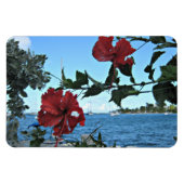 熱帯の島の花 マグネット (横)