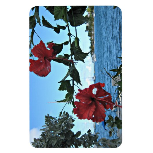 熱帯の島の花 マグネット (縦)