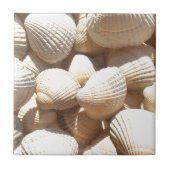 熱帯の晴れたエキゾチックな貝殻 タイル (正面)