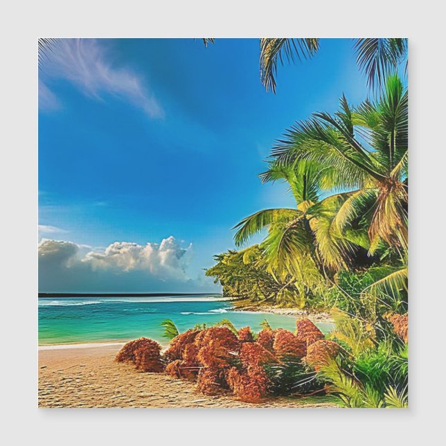 熱帯の楽園。 (正面)