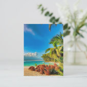 熱帯の楽園。 ポストカード (スタンド正面)