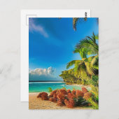 熱帯の楽園。 ポストカード (正面/裏面)