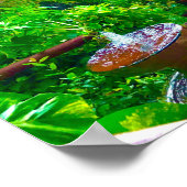 熱帯の泉 ポスター (角)