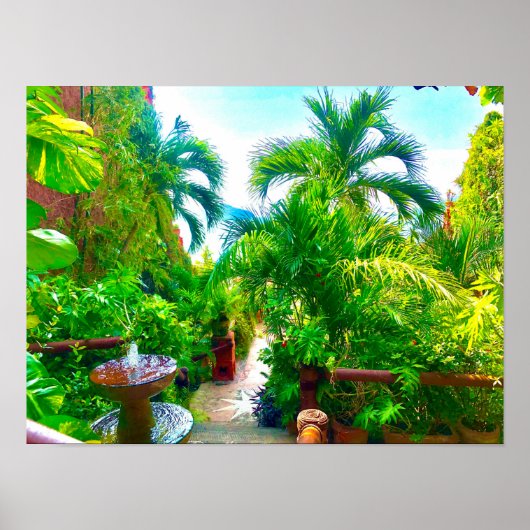 熱帯の泉 ポスター (正面)