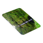 熱帯の滝デイト磁石を保存 マグネット (右側)