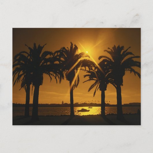 熱帯の空の背景 ポストカード (正面)